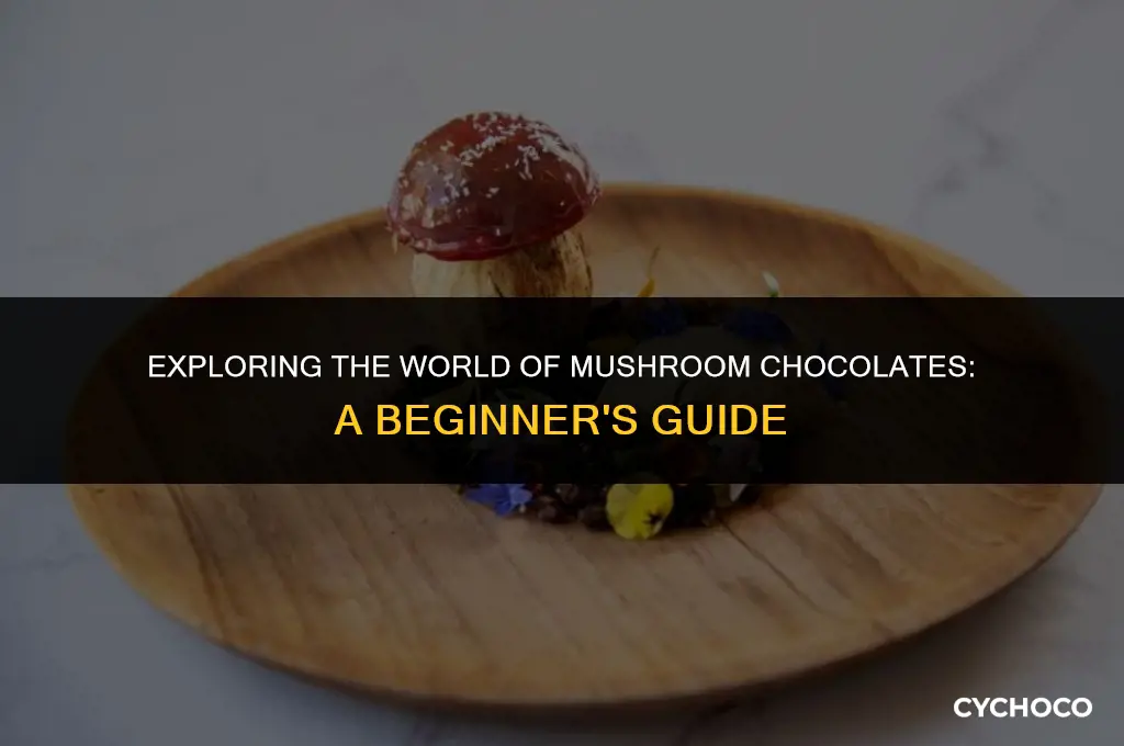 how do you use mushroom chocolates