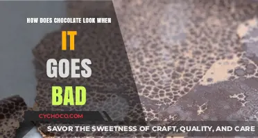 The Unappetizing Transformation: How Chocolate Ages and Spoils