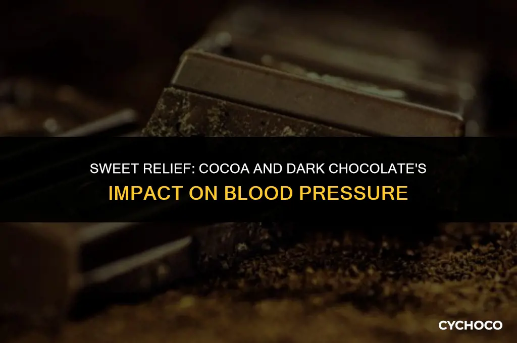 how does cocoa and dark chocolate effect blood pressure