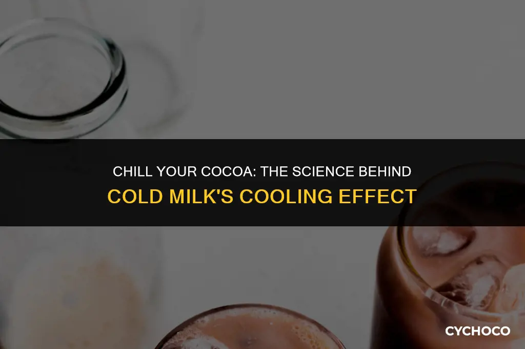 how does cold milk cool hot cocoa