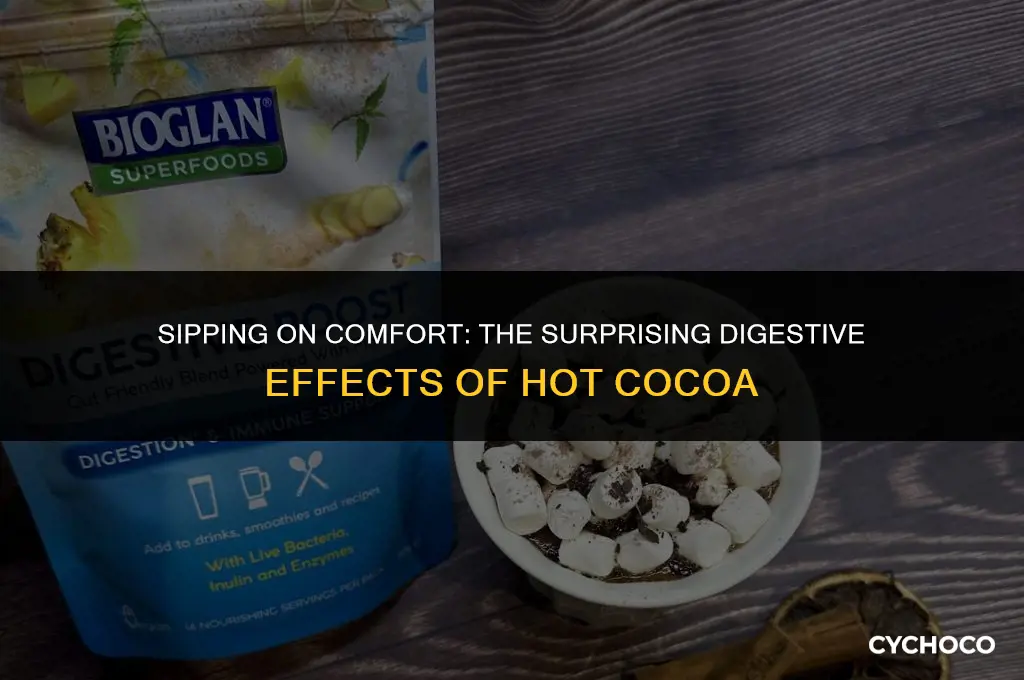 how does hot cocoa affect digestion