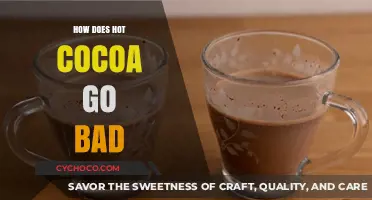 The Shelf Life of Comfort: How Hot Cocoa Goes Bad
