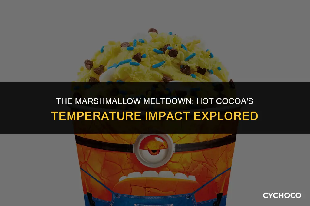 how does the temperature of hot cocoa affect a marshmallow