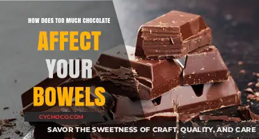 The Sweet Truth: Chocolate's Surprising Impact on Your Digestive Health