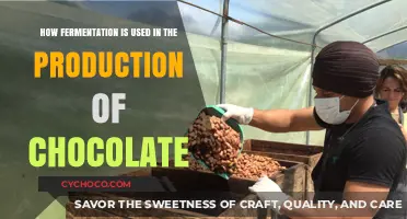 Unveiling the Fermentation Magic Behind Chocolate Creation