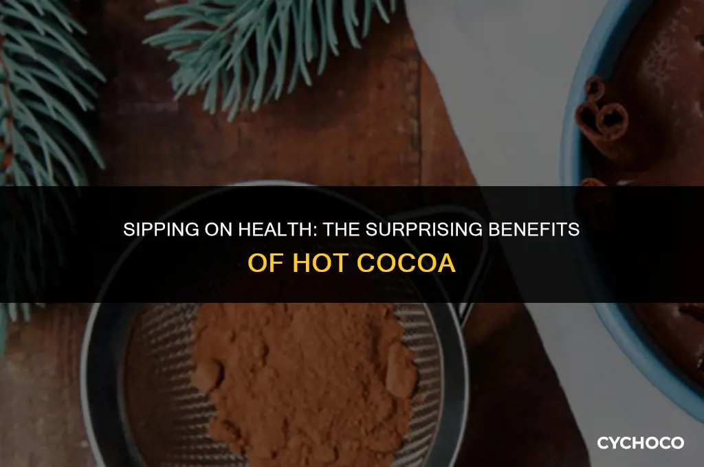 how good is hot cocoa for you
