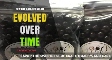 From Bitter to Bliss: The Evolution of Dark Chocolate