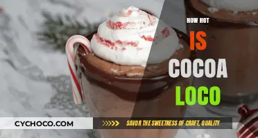 Exploring the Spicy Side of Cocoa Loco: A Flavor Adventure