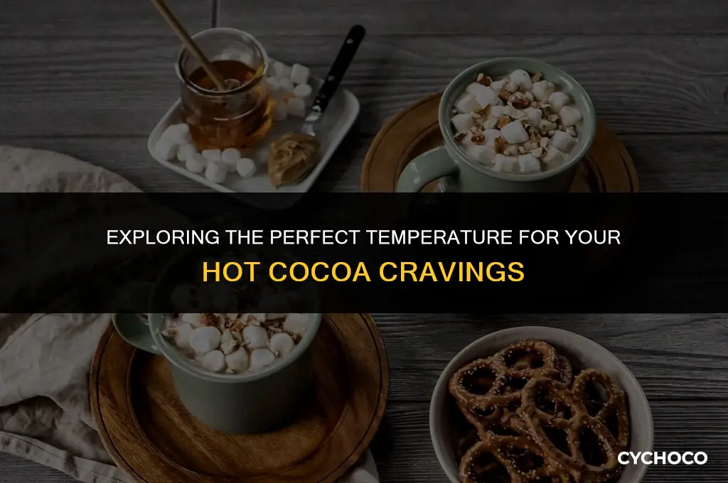 how hot is hot cocoa