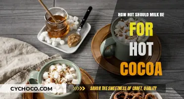 The Perfect Temperature: Crafting the Ideal Hot Cocoa Experience