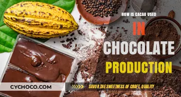 From Bean to Bar: The Journey of Cacao in Chocolate Making