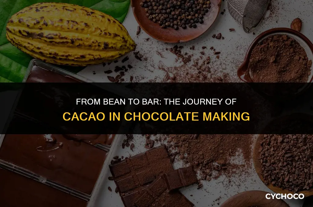 how is cacao used in chocolate production