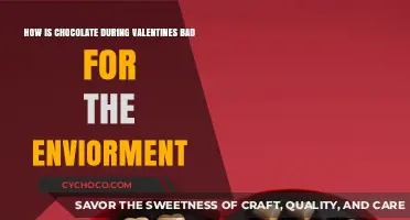 The Bitter Truth: Valentine's Chocolate and Its Environmental Impact