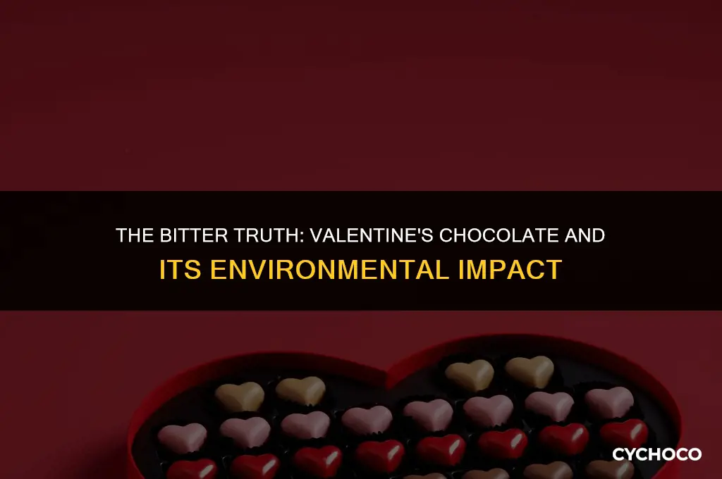 how is chocolate during valentines bad for the enviorment
