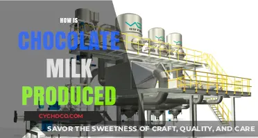From Cocoa to Comfort: The Journey of Chocolate Milk Production