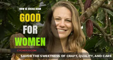 Unlocking the Power of Cocoa Beans: A Women's Health Guide