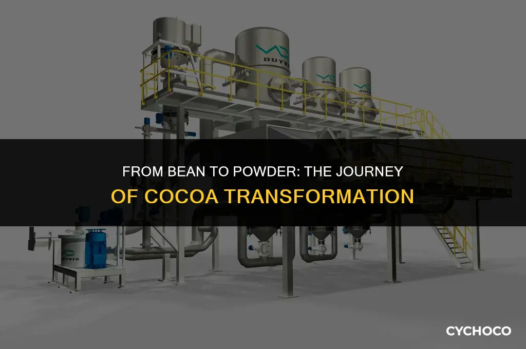how is cocoa powder is made