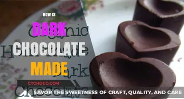 Unveiling the Rich Journey: How Dark Chocolate Comes to Life
