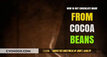 From Bean to Cup: The Journey of Hot Chocolate Making