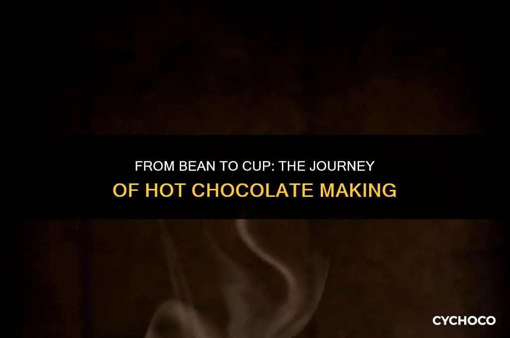 how is hot chocolate made from cocoa beans