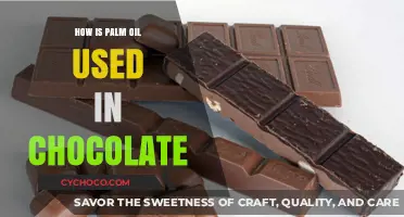 Decoding the Role of Palm Oil in Chocolate Production