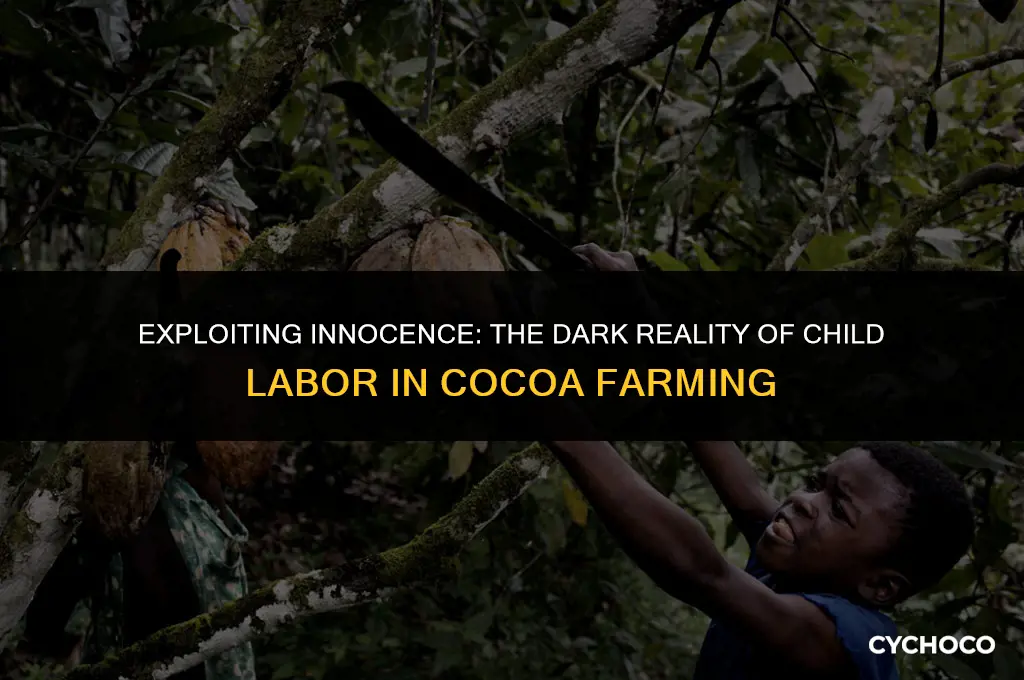 how landlords are using children to grow cocoa beans