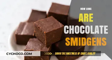 Decoding the Shelf Life of Chocolate Smidgens: A Sweet Mystery Unveiled