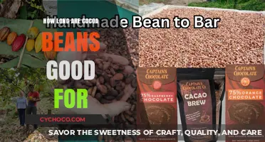 The Shelf Life of Cocoa Beans: A Comprehensive Guide