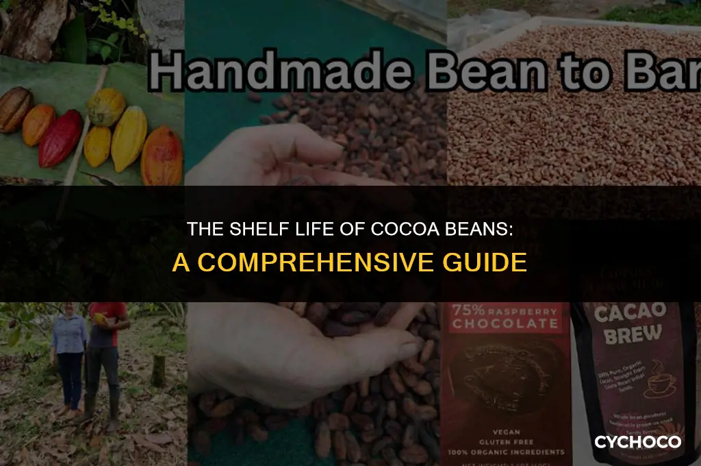how long are cocoa beans good for