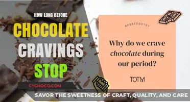 Taming the Chocolate Beast: A Timeline to Curb Cravings