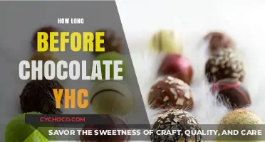 Decoding the Shelf Life: How Long Before Chocolate Goes Bad?