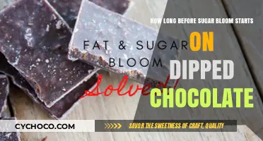 Sweet Timing: When Does Sugar Bloom Appear on Dipped Chocolate?