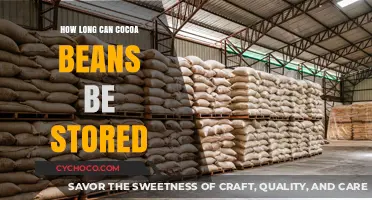 Unlocking the Secrets of Cocoa Bean Storage: A Comprehensive Guide