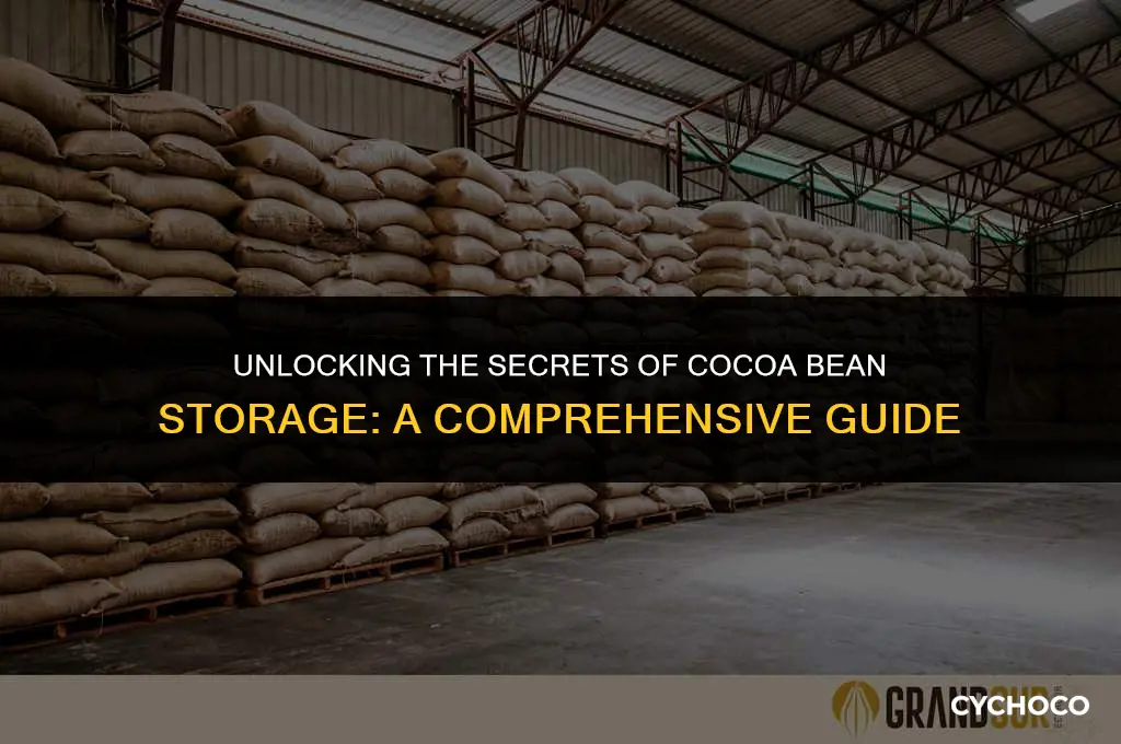 how long can cocoa beans be stored