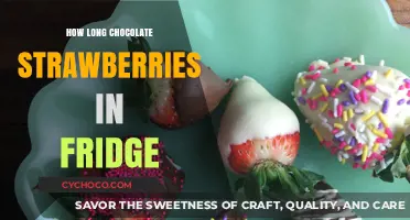 Freshness Preserved: The Ultimate Guide to Storing Chocolate-Dipped Strawberries