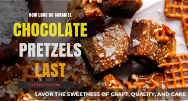 Sweet and Salty Shelf Life: Caramel Chocolate Pretzels Storage Guide