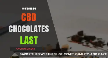 Unveiling the Shelf Life of CBD Chocolates: A Comprehensive Guide