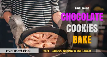 Perfect Bake Time: Chocolate Cookies to Delight Your Taste Buds