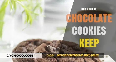 The Shelf Life of Chocolate Cookies: A Comprehensive Guide