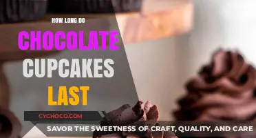 Delicious Chocolate Cupcakes: A Guide to Their Shelf Life