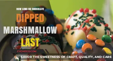 Sweet Treats: The Shelf Life of Chocolate Dipped Marshmallows