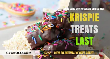 Timeless Treats: The Shelf Life of Chocolate Dipped Rice Krispie Delights