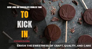 Unveiling the Mystery: Timing the Effects of Chocolate Edibles