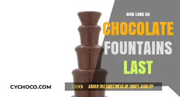 The Lifespan of Chocolate Fountains: A Sweet Investment?