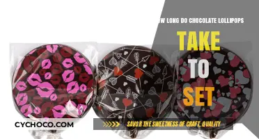 Sweet Timing: The Art of Perfectly Setting Chocolate Lollipops