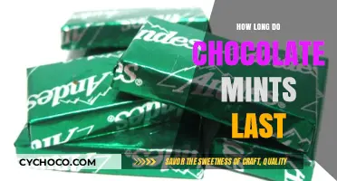The Shelf Life of Chocolate Mints: A Comprehensive Guide