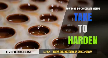 From Liquid to Solid: The Chocolate Mold Hardening Process Explained