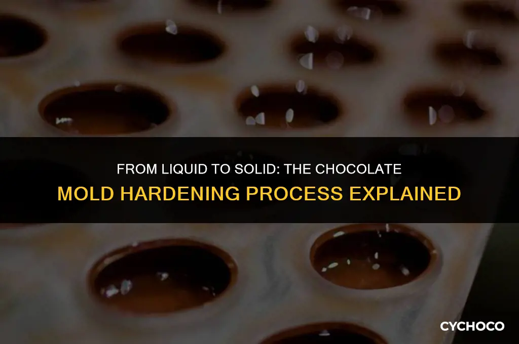 how long do chocolate molds take to harden