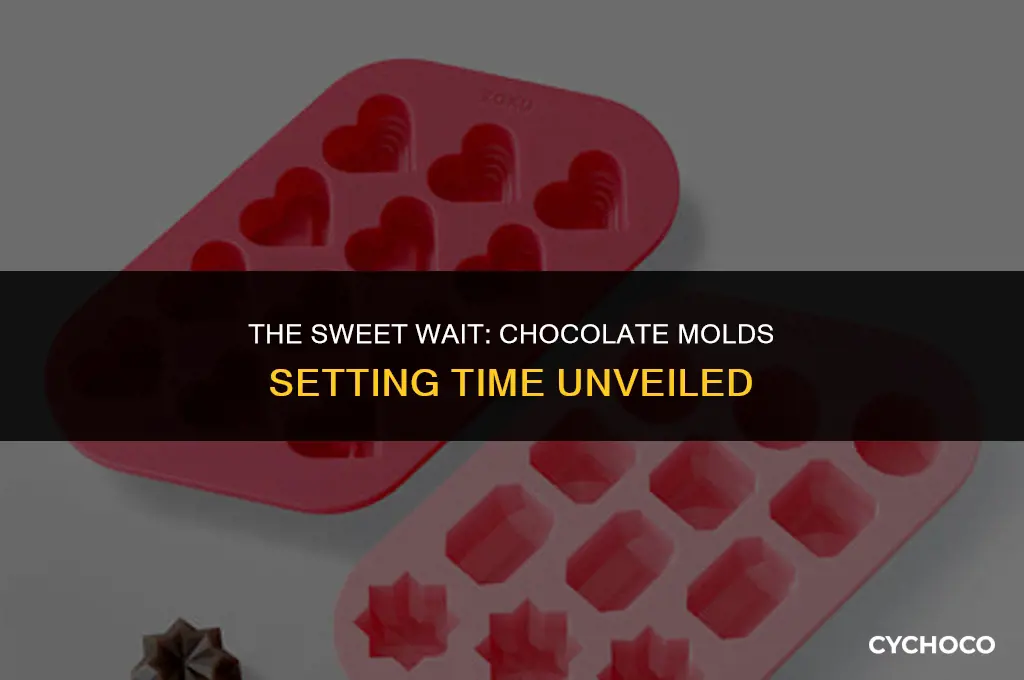 how long do chocolate molds take to set
