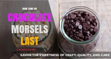 Decoding the Shelf Life of Chocolate Morsels: A Sweet Mystery Solved